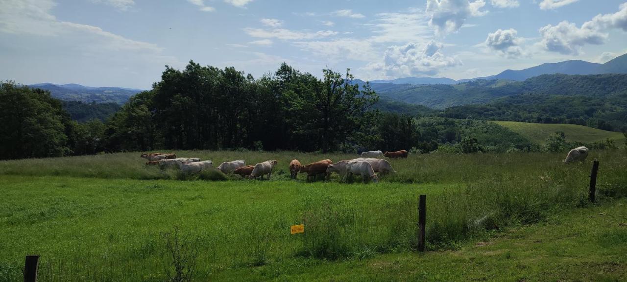 Domaine Le Lanis "Cabane De Pauline" سانت-غيرونز المظهر الخارجي الصورة