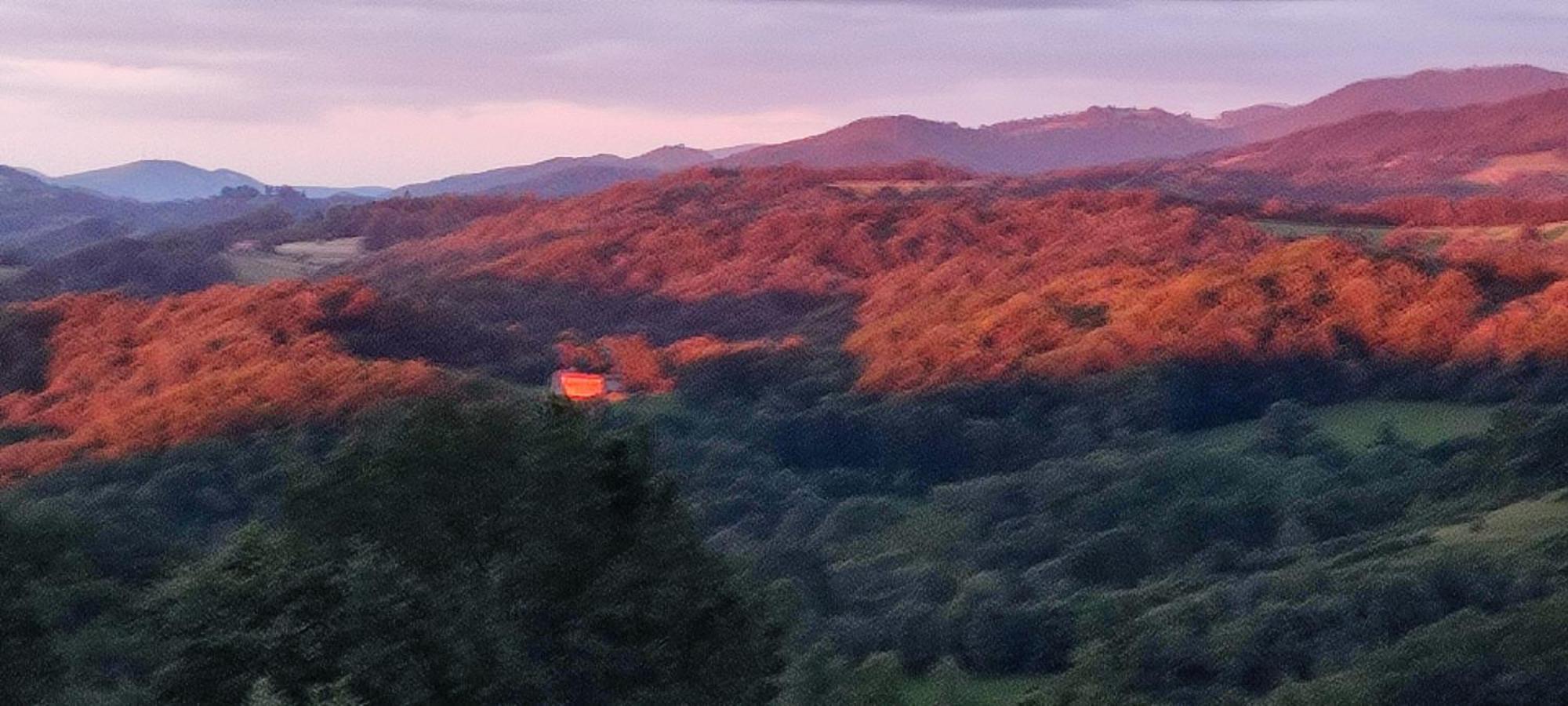 Domaine Le Lanis "Cabane De Pauline" سانت-غيرونز المظهر الخارجي الصورة